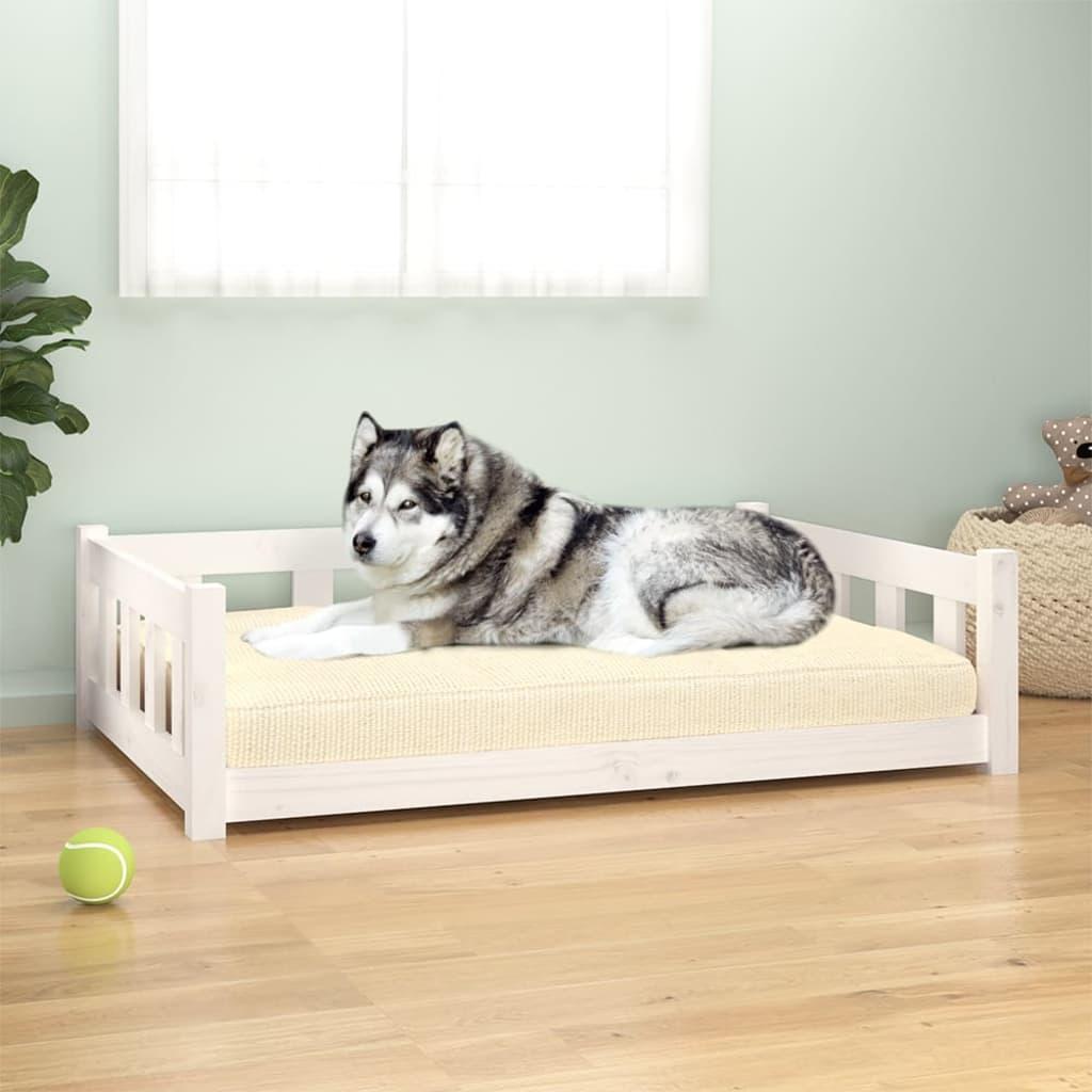 Hundeseng 105 5x75 5x28 Massivt Fyrretræ Hvid 8720287140733