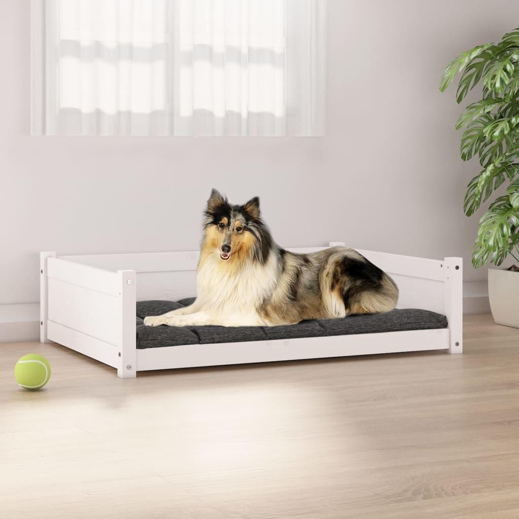 Hundeseng 5x65 5x28 Massivt Fyrretræ Hvid 8720287140689