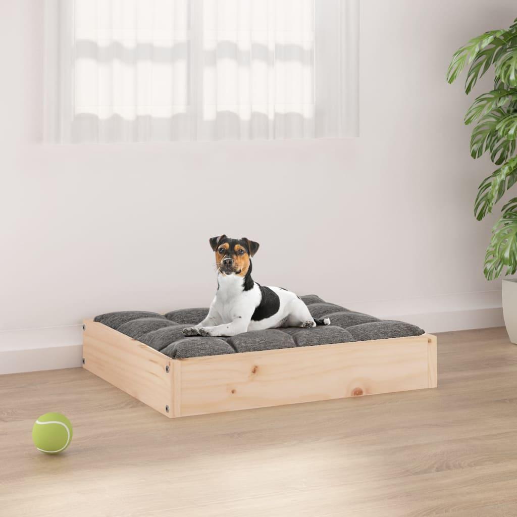 Hundeseng 5x44x9 Massivt Fyrretræ 8720287137344