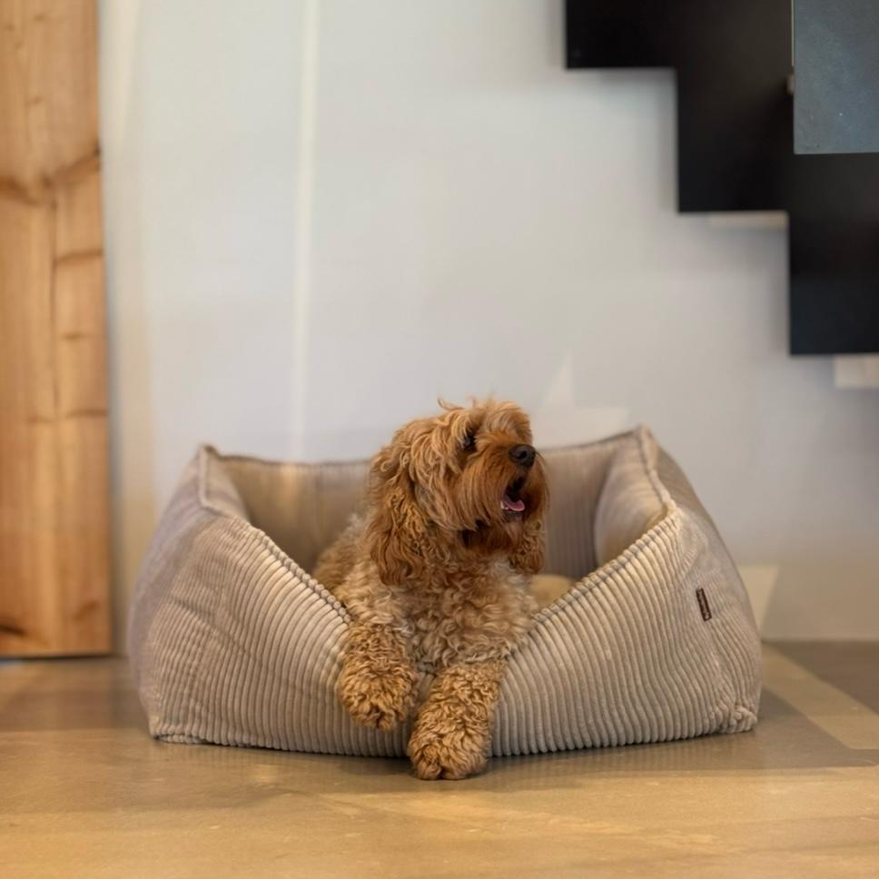 Carl Hundekurv Beige Bred Fløjl