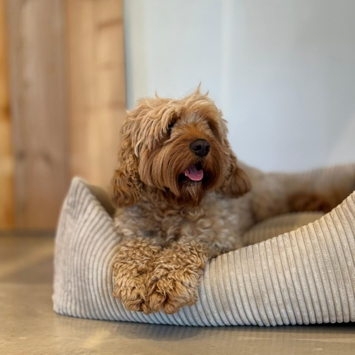 Bjørk Hundekurv Beige Bred Fløjl