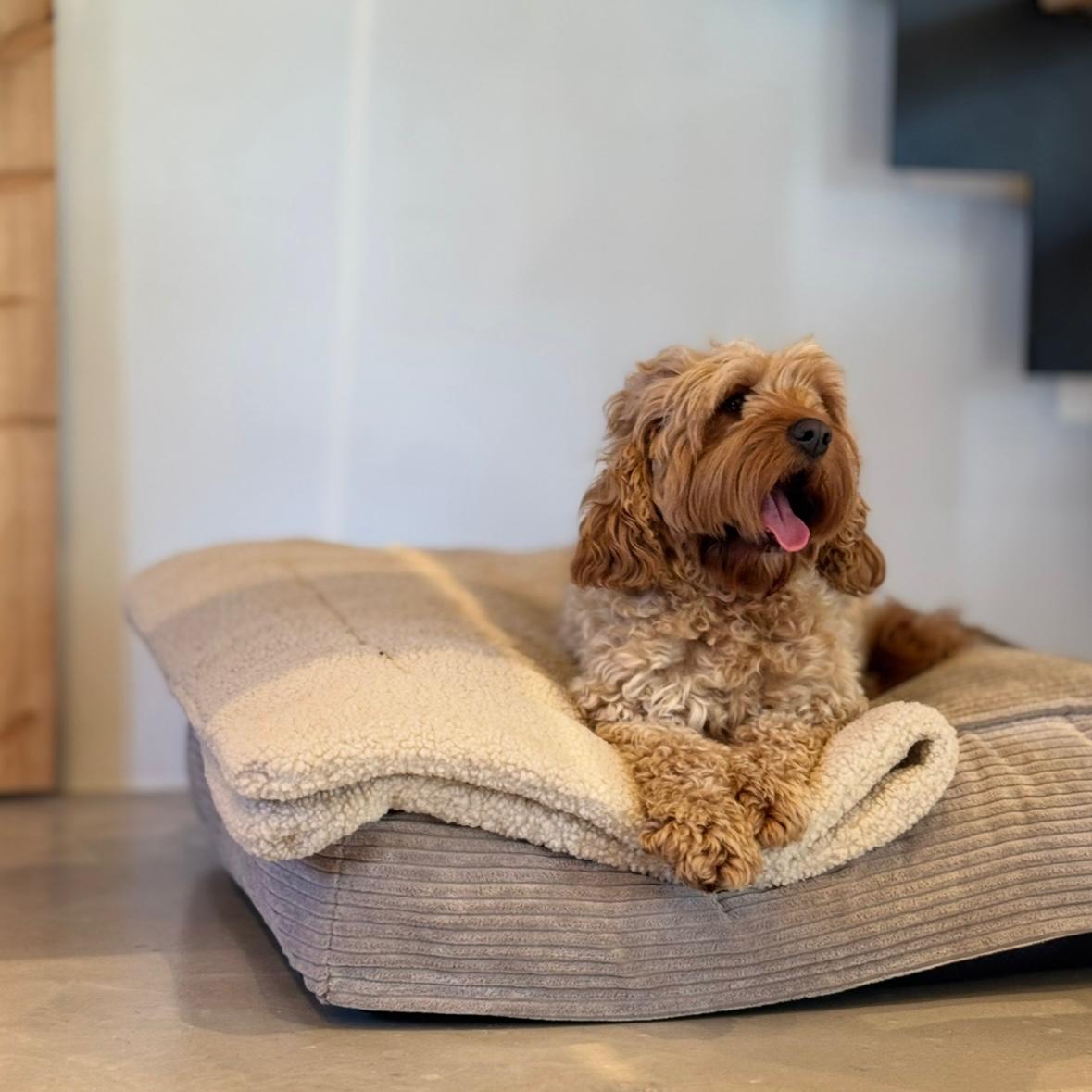 Frede Hundekurven Beige