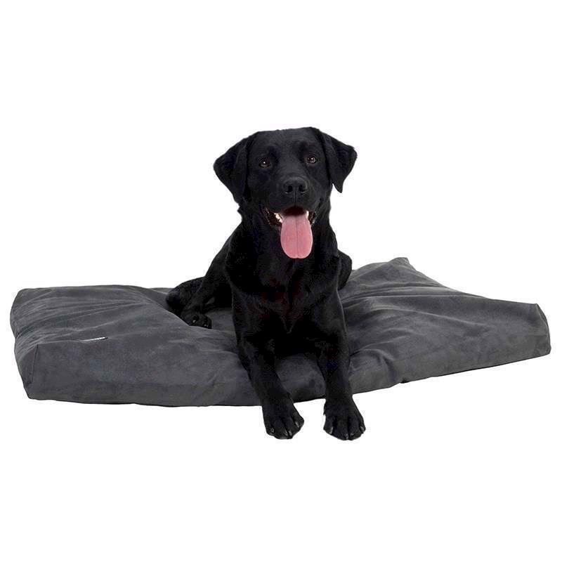 Buster Memory Foam Grå 5703188249081