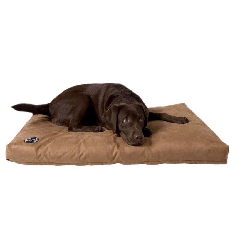 Memory Foam Hundeseng Camel 100 120 5703188242563