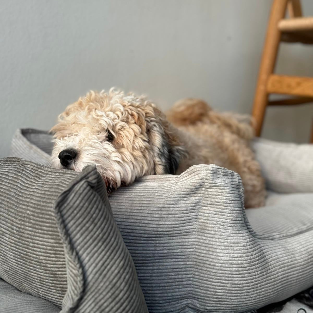Elmer Hundekurv Grå