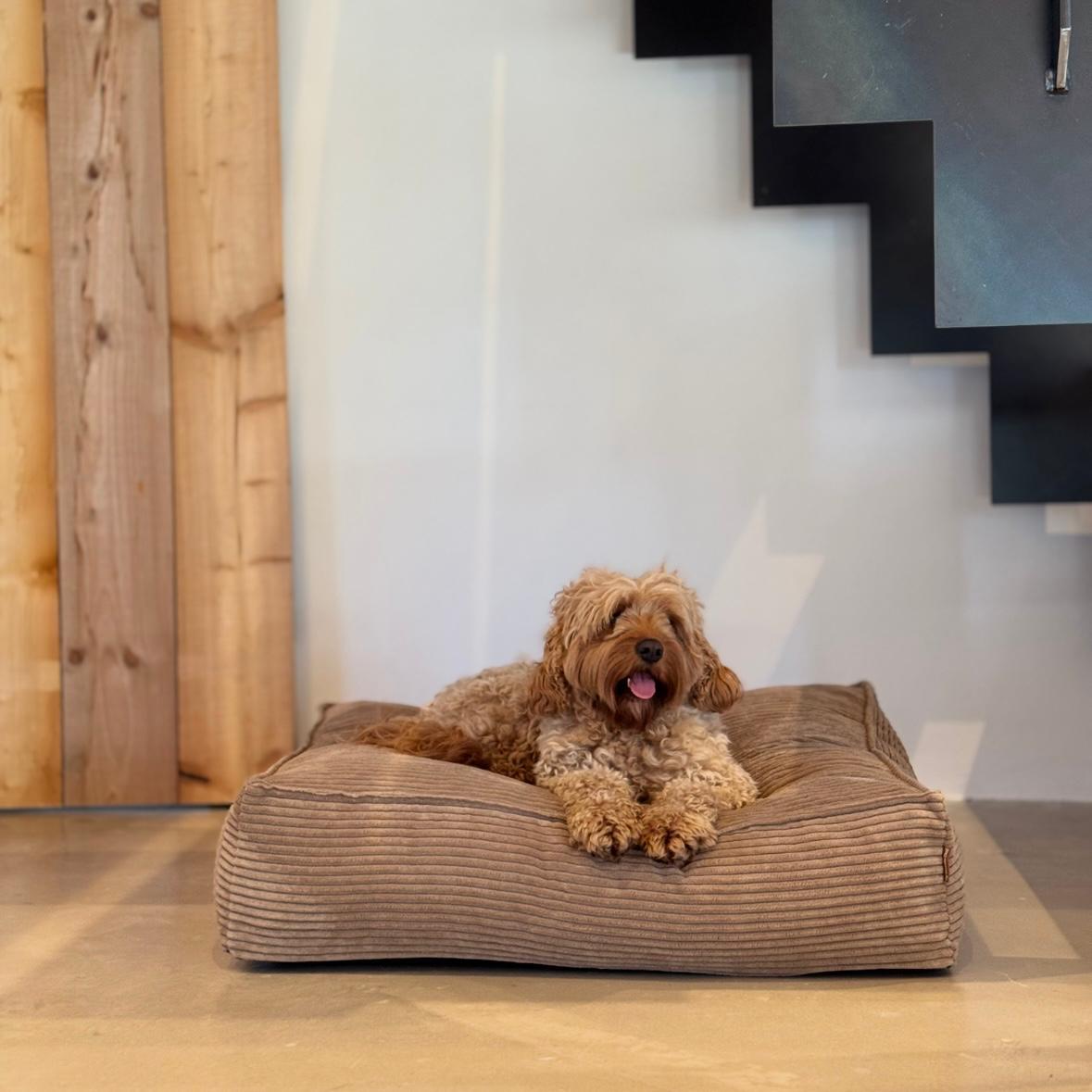 Frede Hundekurven Lys Brun Medium